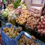 images/varosok/Alicante_diohejban/Alicanterol diohejban 2.jpg